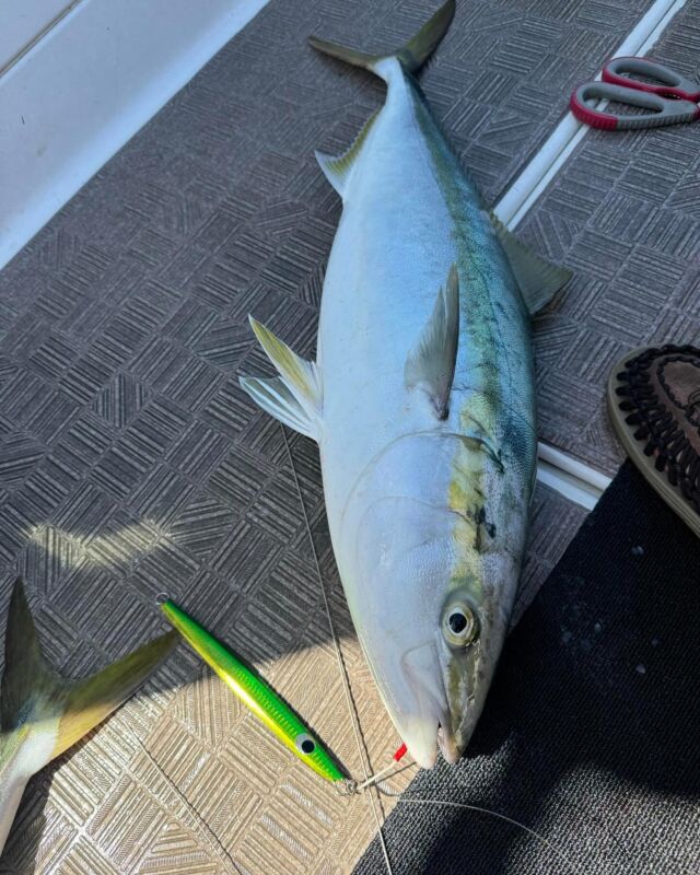 Endo Craft | Handmade lure Endo Craft